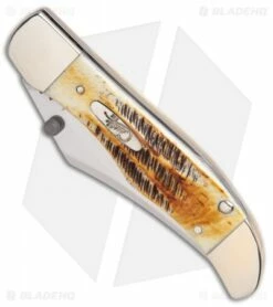 Case Kickstart Mid-Folding Hunter Assisted Knife Bone Stag (6.51265AC SS) -Kershaw Sales Shop Assisted Opener Case Stag bone mid hunter Clip BHQ 86871 er spine