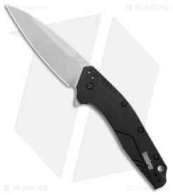 Kershaw Dividend Assisted Opening Knife Black (3" Stonewash 20CV) 1812BLK
