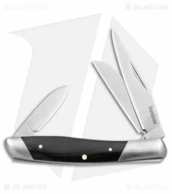 Kershaw Iredale Slip Joint Knife Black Canvas Micarta (2.6" Satin) 4386