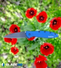Kershaw Leek Assisted Opening Knife Blue (3" Black) 1660NBBLK 15 Kershaw Leek Assisted Opening Knife Blue (3" Black) 1660NBBLK -Kershaw Sales Shop Kershaw Leek Assisted Opening Knife Blue Black 1660NBBLK BHQ 77341 kp tulips web
