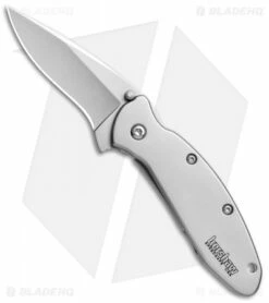 Kershaw Scallion Frame Lock Assisted Opening Knife (2.25" Bead Blast) 1620FL