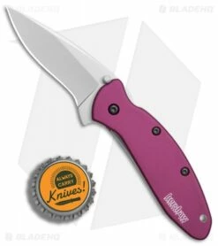 Kershaw Scallion Assisted Opening Knife Purple (2.25" Bead Blast) 1620PUR -Kershaw Sales Shop Kershaw Scallion purple bb BHQ 14804 er bottlecap