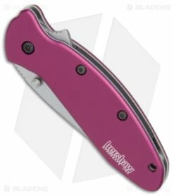 Kershaw Scallion Assisted Opening Knife Purple (2.25" Bead Blast) 1620PUR -Kershaw Sales Shop Kershaw Scallion purple bb BHQ 14804 er spine