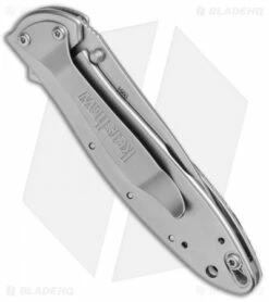 Santa Fe Stoneworks Customized Kershaw Leek A/O Knife Obsidian (3" Bead Blast) -Kershaw Sales Shop Santa Fe Stoneworks Customized Kershaw Leek Obsidian BB SF1660M BHQ 73790 jr side