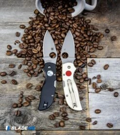 Spyderco Chaparral Lockback Knife Sun & Moon G-10 (2.8" Satin) C152GSMP -Kershaw Sales Shop Spyderco Chaparral Lockback Knife Sun Moon G 10 Satin C152GSMP BHQ 106186 kp beans web