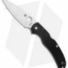 Spyderco Native Chief Lockback Knife Black G-10 (4.08" Satin) C244GP