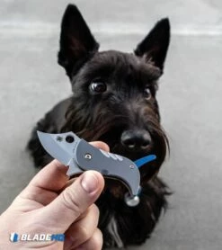 Spyderco Pochi Frame Lock Knife Titanium (1.56" Satin S45VN) -Kershaw Sales Shop Spyderco Pochi Frame Lock Knife Titanium Satin S45VN BHQ 112401 kp Lottie the Scottie web