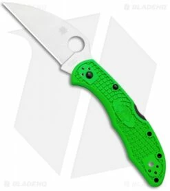 Spyderco Salt 2 Wharncliffe Knife Green FRN (3" Satin) C88FPWCGR2