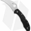 Spyderco Tasman Salt 2 Lock Back Knife Black FRN (2.8" Satin) C106PBK2