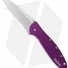 Kershaw Leek Assisted Opening Knife Purple (3" Bead Blast) 1660PUR