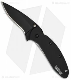 Kershaw Scallion Assisted Opening Knife Black (2.25" Black) 1620ALBLK