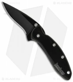 Kershaw Chive Assisted Opening Knife Black (1.94" Black) 1600BLK