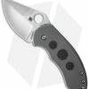 Spyderco Burch Chubby Frame Lock Knife Titanium (2.3" Satin) C183TIP