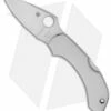 Spyderco Dragonfly Lockback Knife Stainless Steel (2.3" Satin) C28P