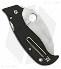 Spyderco SuperHawk Folding Carbon Fiber Knife Hawkbill C116CFP -Kershaw Sales Shop spyderco superhawk back